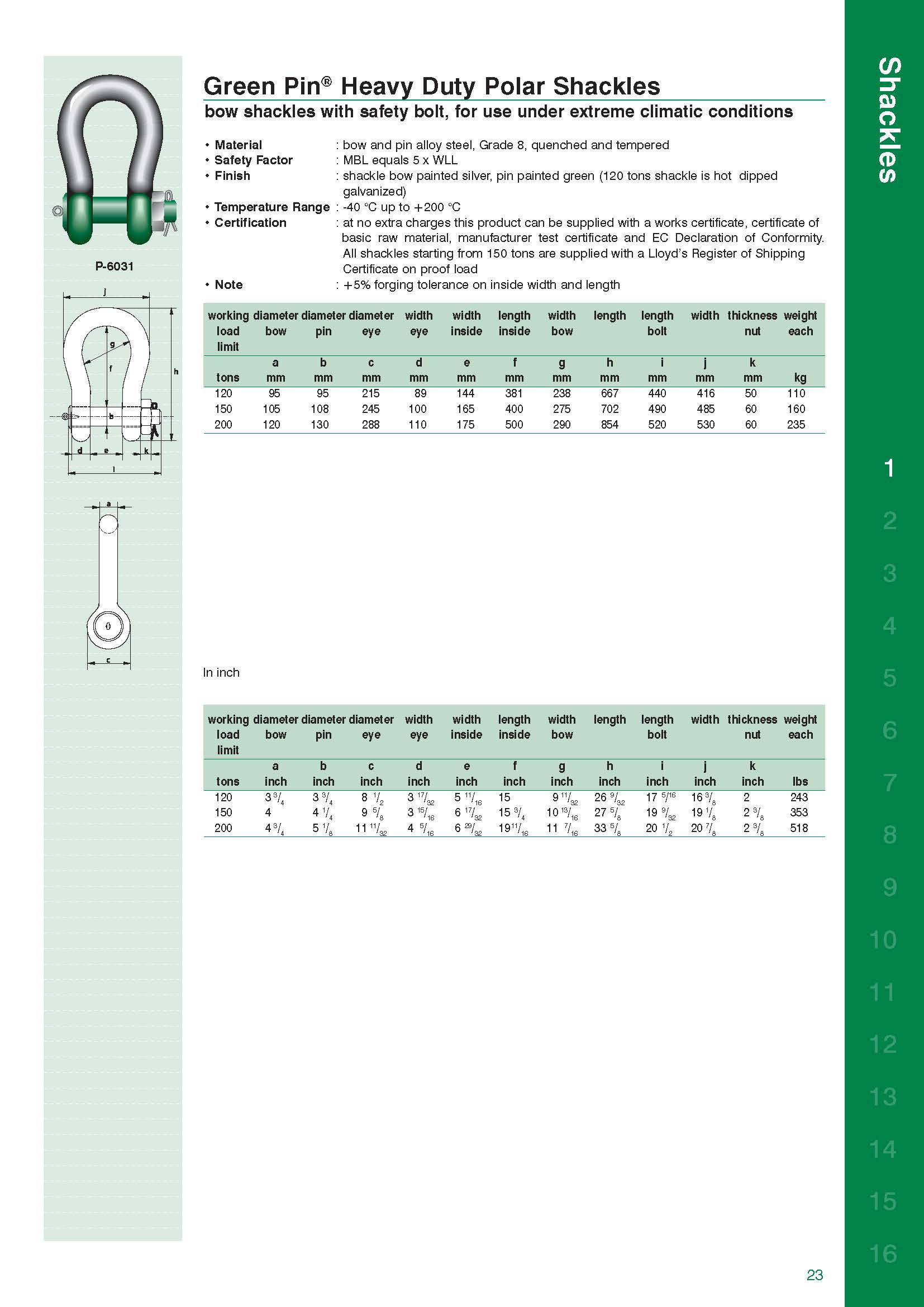 P-6031